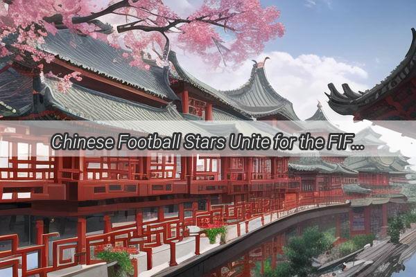 Chinese Football Stars Unite for the FIFA World Cup Qualifiers A Journey of Determination and Glory